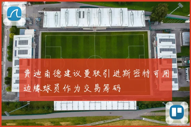 费迪南德建议曼联引进斯密特可用边缘球员作为交易筹码