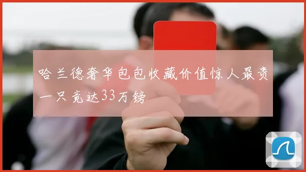 哈兰德奢华包包收藏价值惊人最贵一只竟达33万镑