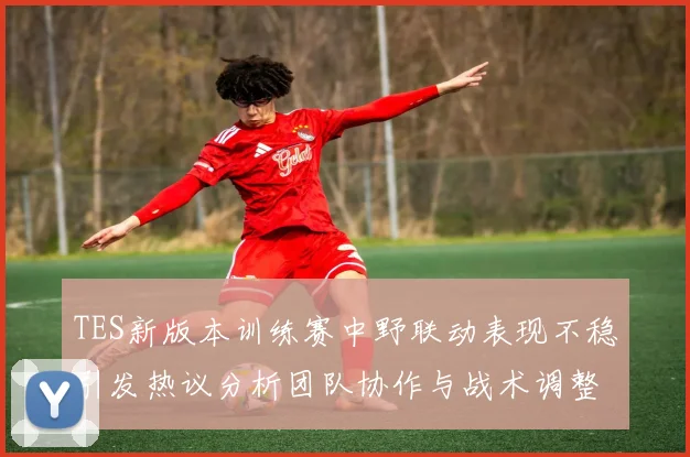 TES新版本训练赛中野联动表现不稳引发热议分析团队协作与战术调整必要性