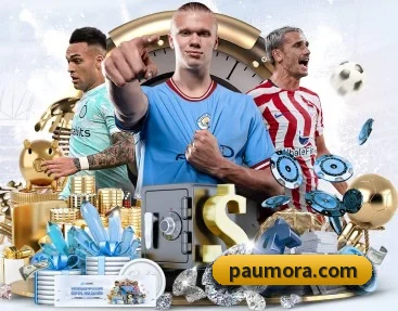 半岛在线体育网 APP